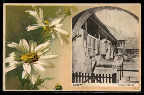 AK Luzern, Spreuerbrücke mit Turm, Margeriten