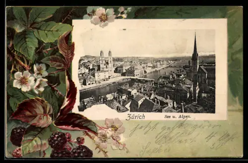 Lithographie Zürich, See und Alpen, Totalansicht, Brombeeren, Passepartout