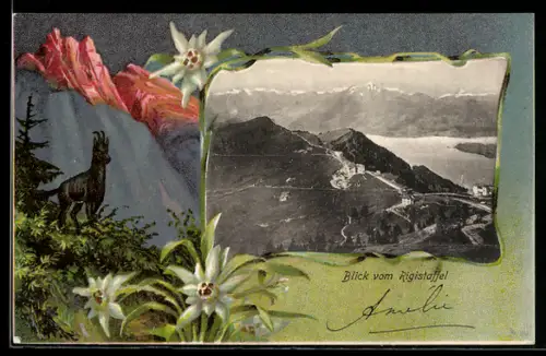 Lithographie Rigi, Blick vom Rigistaffel, Edelweiss mit Bergziege, Passepartout
