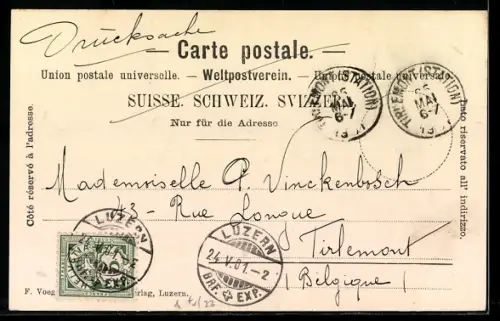 Lithographie Rigi, Blick vom Rigistaffel, Edelweiss mit Bergziege, Passepartout