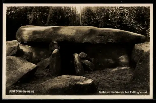 AK Fallingbostel, Siebensteinhäuser, Vorzeitliches Steingrab