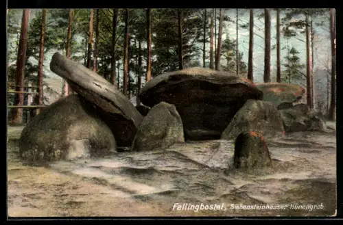 AK Fallingbostel, Siebensteinhäuser Hünengrab, Gesteinsformation