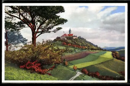 AK Photochromie NR. 5003: Landschaftsbild mit Aussicht zum Schloss