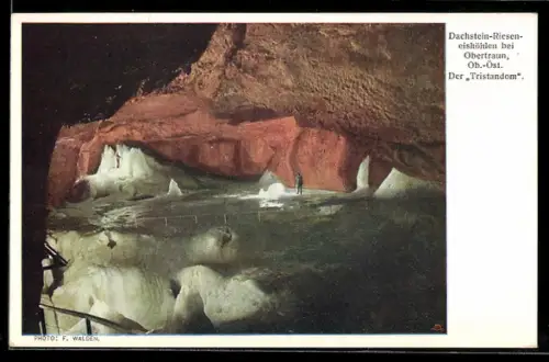 AK Obertraun, Dachstein-Rieseneishöhle, Der Tristandom
