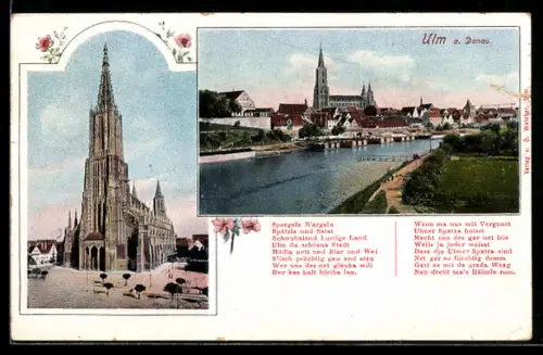 AK Ulm, Münster, Ortsansicht