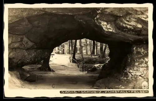 Foto-AK Walter Hahn, Dresden, Nr. 231: Kuhstall-Felsen in der Sächs. Schweiz