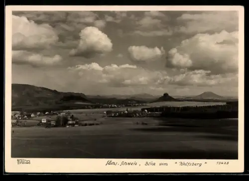 Foto-AK Walter Hahn, Dresden, Nr. 13425: Reinhardtsdorf, Blick auf den Wolfsberg