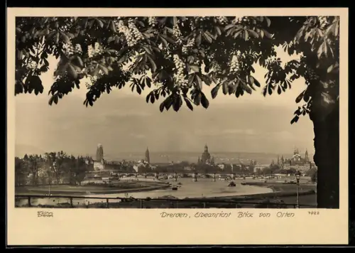 Foto-AK Walter Hahn, Dresden, Nr. 7922: Dresden, Blick von Osten