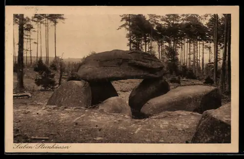 AK Fallingbostel, Siebensteinhäuser Hünengrab, Ausgrabung