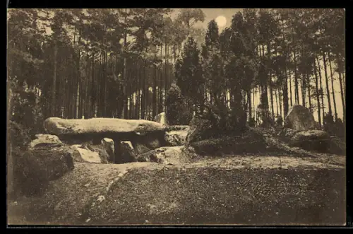 AK Fallingbostel, Siebensteinhäuser Hünengrab I., Ausgrabung