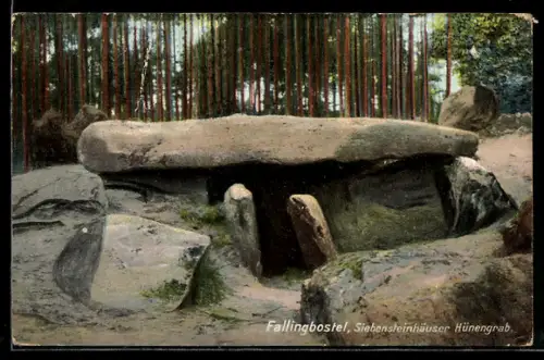 AK Fallingbostel, Siebensteinhäuser Hünengrab