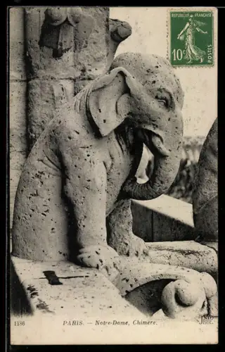 AK Paris, Notre-Dame, Chimère, Wasserspeier, Elefant