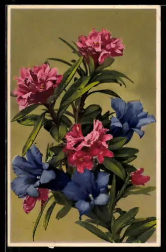 AK Photochromie NR 2036: Bunter Strauss Blumen