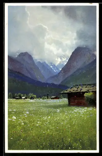 AK Photochromie NR 5068: Blick über die Wiese zu den Bergen