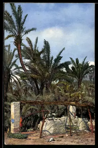 Künstler-AK Photochromie Nr. 2624: Bordighera, Brunnenpartie mit Palmen