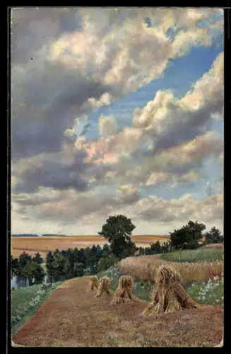 Künstler-AK Photochromie Nr. 2257: Wolken über dem Feld