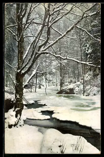 Künstler-AK Photochromie Nr. 2405: Winterlandschaft