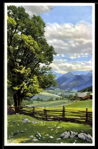 Künstler-AK Photochromie Nr.5066: Blick von einer Koppel zum Ort im Tal