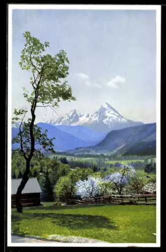 Künstler-AK Photochromie Nr. 5062: Berglandschaft mit Bäumen