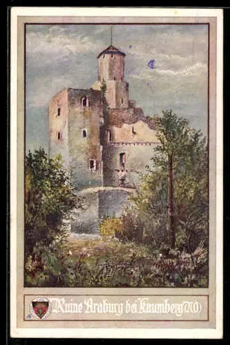 AK Deutscher Schulverein Nr.394: Ruine Araburg bei Kaumberg (NÖ)