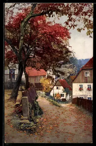 AK Photochromie NR 4700: Bäume im Herbst