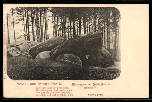 AK Fallingbostel, Hünengrab