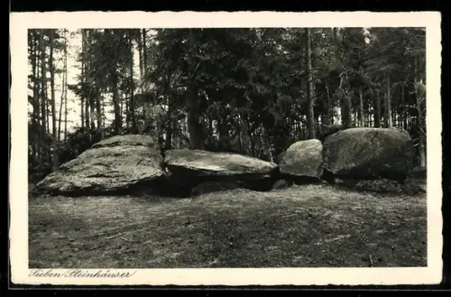 AK Fallingbostel, Sieben Steinhäuser, Totalansicht, Gesteinsformation