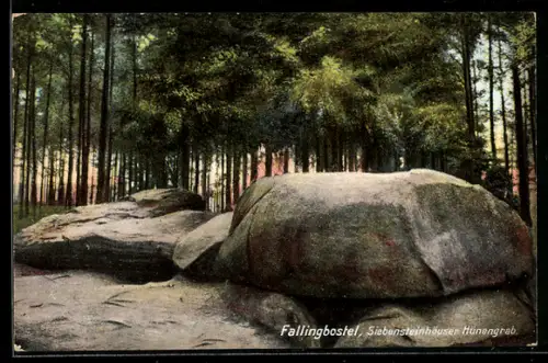 AK Fallingbostel, Siebensteinhäuser Hünengrab, Gesteinsformation