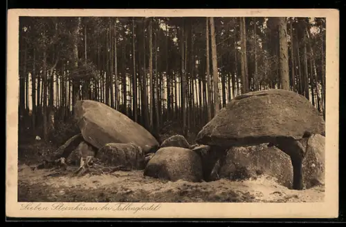 AK Fallingbostel, Sieben Steinhäuser mit Waldstück, Gesteinsformation
