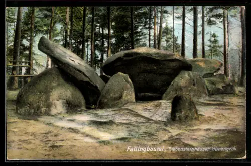 AK Fallingbostel, Siebensteinhäuser Hünengrab, Gesteinsformation