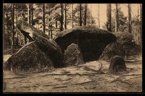 AK Fallingbostel, Siebensteinhäuser Hünengrab in der Lüneburger Heide, Ausgrabung