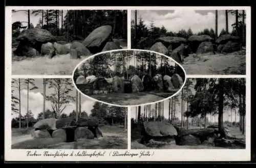 AK Fallingbostel, Sieben Steinhäuser in der Lüneburger Heide, Hünengräber