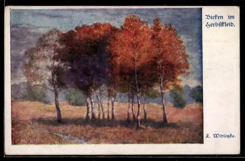 AK Deutscher Schulverein NR 1211: Birken im Herbstkleid von L. Widlitzka