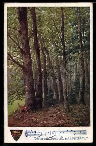 AK Deutscher Schulverein NR.889: Rehe im Wald