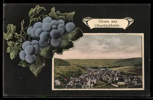 AK Obertürkheim, Totalansicht des Ortes mit Beeren im Passepartout