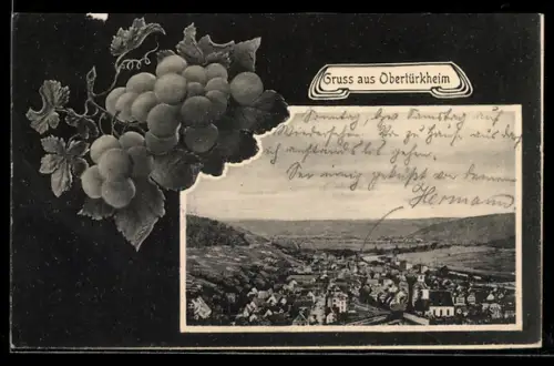 AK Obertürkheim, Totalansicht aus der Vogelschau, Weintrauben