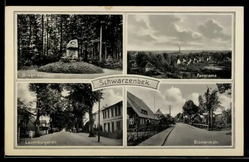 AK Schwarzenbek, Kriegerdenkmal, Panoramablick, Lauenburgerstrasse, Bismarckstrasse