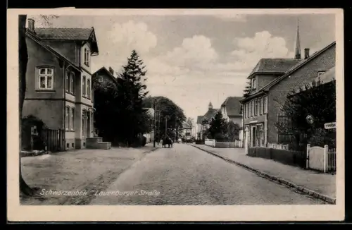 AK Schwarzenbek, Passanten in der Lauenburger Strasse