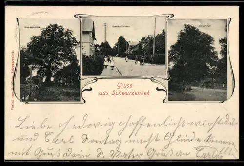 AK Schwarzenbek, Bahnhofstrasse, Bismarckeiche, Körnerlinde