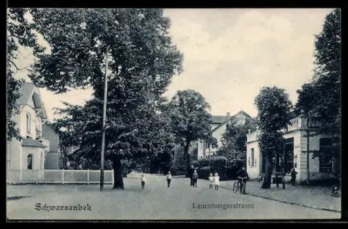 AK Schwarzenbek, Lauenburgerstrasse mit Geschäft