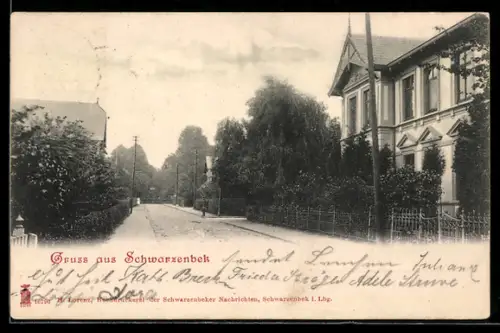 AK Schwarzenbek, Strassenpartie im Ort