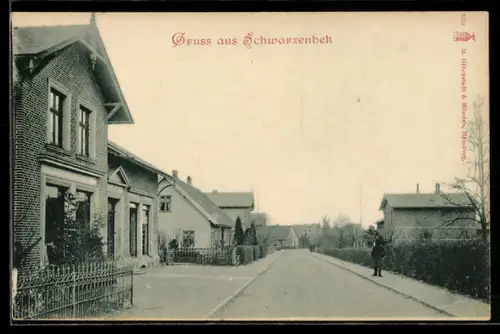 AK Schwarzenbek, Strassenpartie