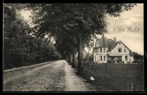 AK Fallingbostel, Partie vor der Lieth