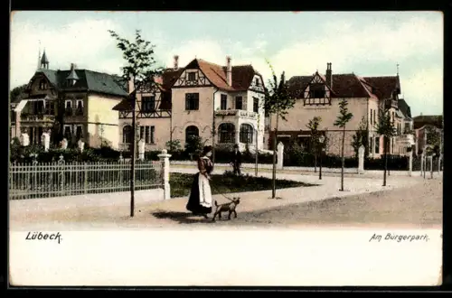 AK Lübeck, Am Bürgerpark und Frau mit Hund