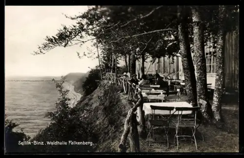 AK Sellin-Binz, Waldhalle Falkenberg, Conditorei u. Café, Inh. Johannes Nitzmann