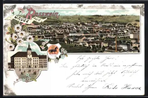 Lithographie Rosswein, Stadtpanorama und Rathaus