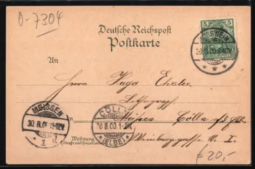 Lithographie Rosswein, Stadtpanorama und Rathaus