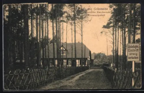 AK Grünheide i. M. Staatl. Hundezucht und Dressuranstalt