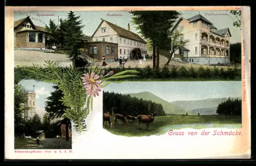 AK Schmücke, Speisesaal, Gasthaus, Pensionshaus