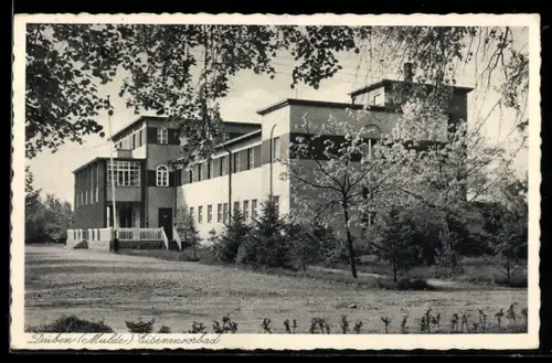 AK Düben /Mulde, Eisenmoorbad